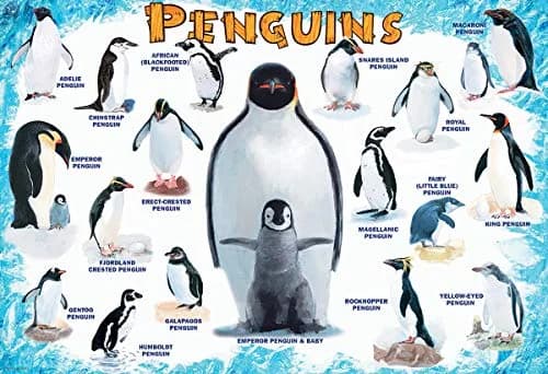EuroGraphics Penguins 100 Piece Jigsaw Puzzle | Educational Toy for Kids 3-6 Years thumbnail 2