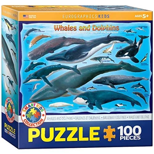 EuroGraphics Whales & Dolphins 100 Piece Jigsaw Puzzle 38.1 cm x 27.9 cm | Educational Toy Made in USA — 100 Piece Puzzle