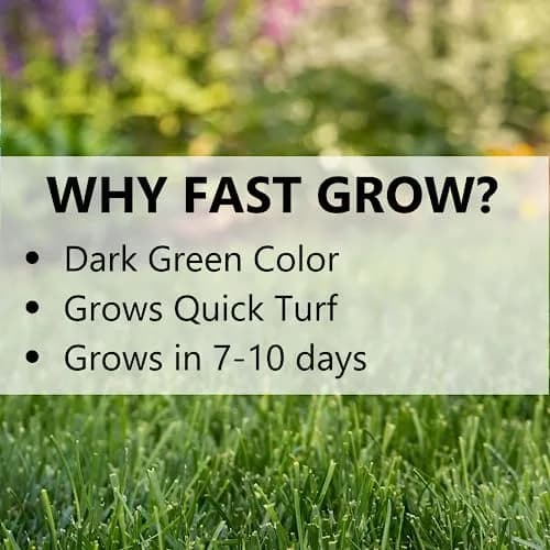 Jonathan Green Fast Grow Grass Seed - Cool Season Lawn Seed 6.8 kg (15 lb) | Quick Turf for Problem Areas thumbnail 5