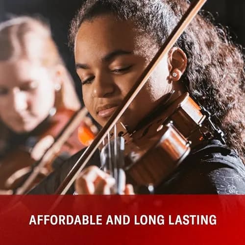 D'Addario Prelude Violin String Set 4/4 Scale Light Tension | Warm Tone & Durability thumbnail 3