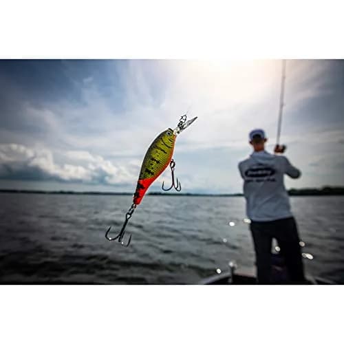 Berkley Flicker Shad Fishing Lure, Firetiger, 5/16 oz (8.8 g), 2 3/4in (7cm) | Realistic Crankbait with Fusion19 Hook thumbnail 4