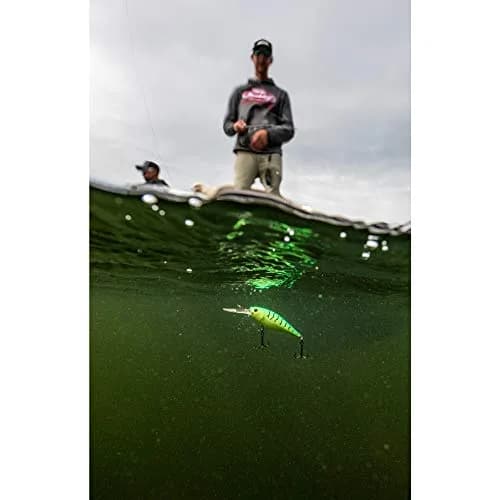 Berkley Flicker Shad Fishing Lure, Firetiger, 5/16 oz (8.8 g), 2 3/4in (7cm) | Realistic Crankbait with Fusion19 Hook thumbnail 2