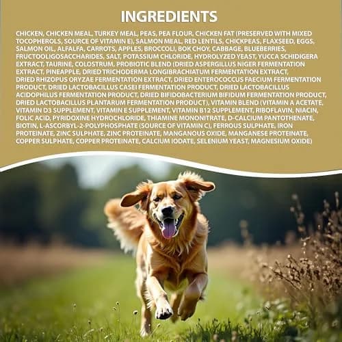 LEGACY High Protein Dog Food — Real Chicken & Turkey First Ingredient, Added Colostrum, Grain-Free, 25 lb | Supports Immunity & Digestion thumbnail 7