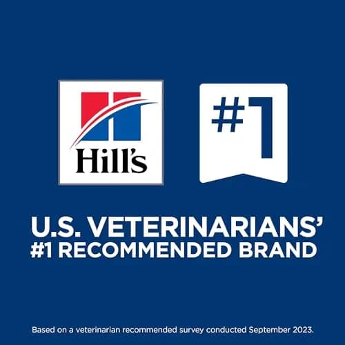 Hill's Science Diet Adult 1-6 Small & Mini Dry Dog Food, Chicken & Brown Rice, 2.04 kg (4.5 lb) | Veterinarian Recommended thumbnail 4