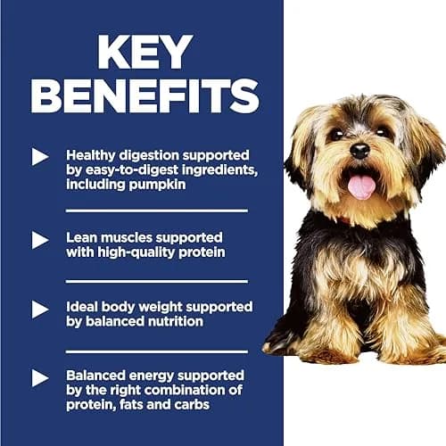 Hill's Science Diet Adult 1-6 Small & Mini Dry Dog Food, Chicken & Brown Rice, 2.04 kg (4.5 lb) | Veterinarian Recommended thumbnail 3