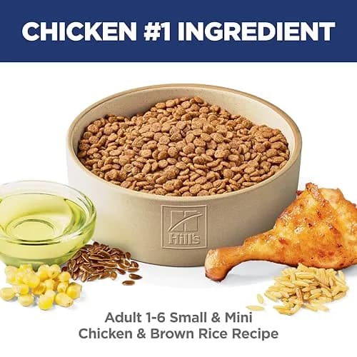 Hill's Science Diet Adult 1-6 Small & Mini Dry Dog Food, Chicken & Brown Rice, 7 kg (15.5 lb) | Veterinarian Recommended thumbnail 2
