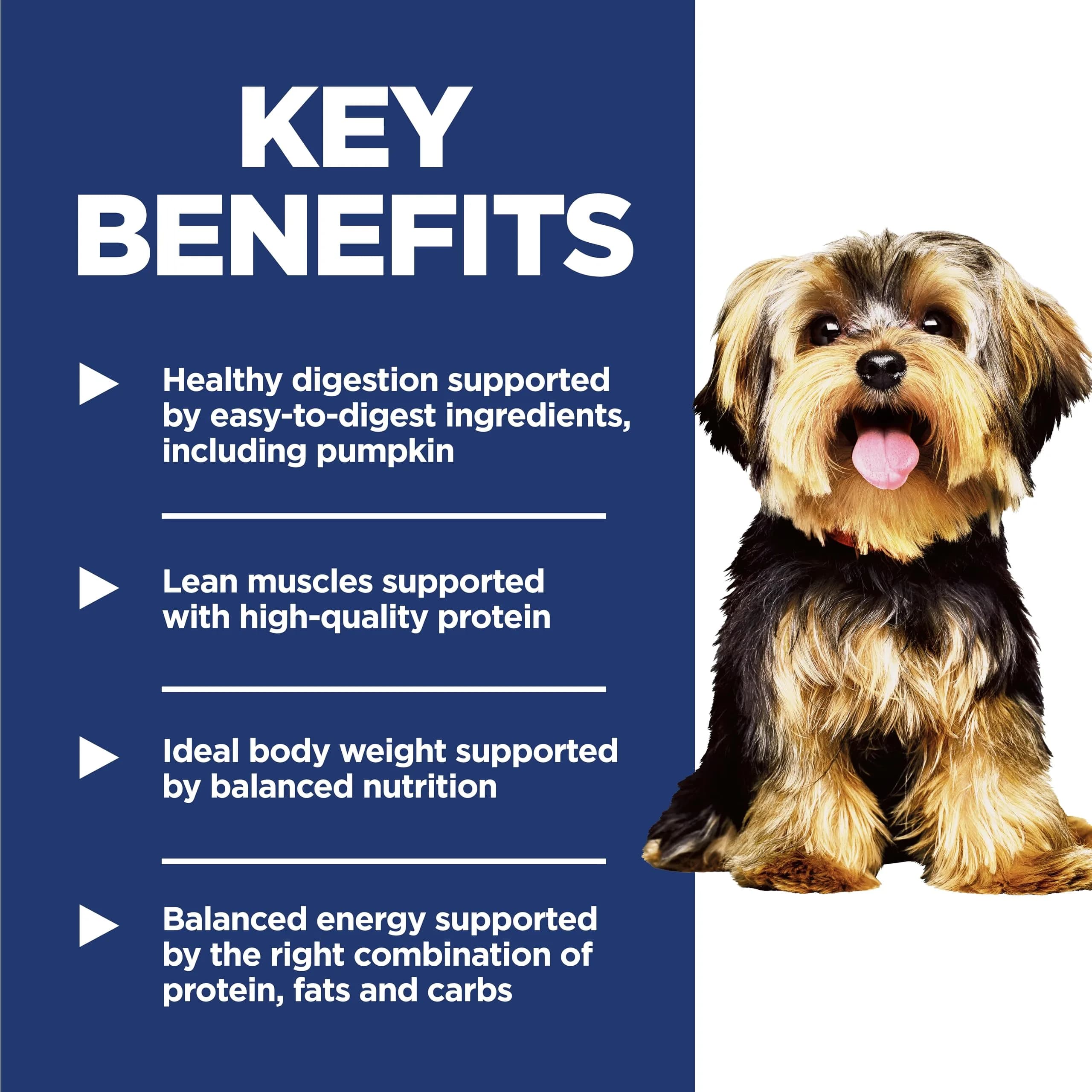 Hill's Science Diet Adult 1-6 Small & Mini Dry Dog Food, Chicken & Brown Rice, 7 kg (15.5 lb) | Veterinarian Recommended - view 3
