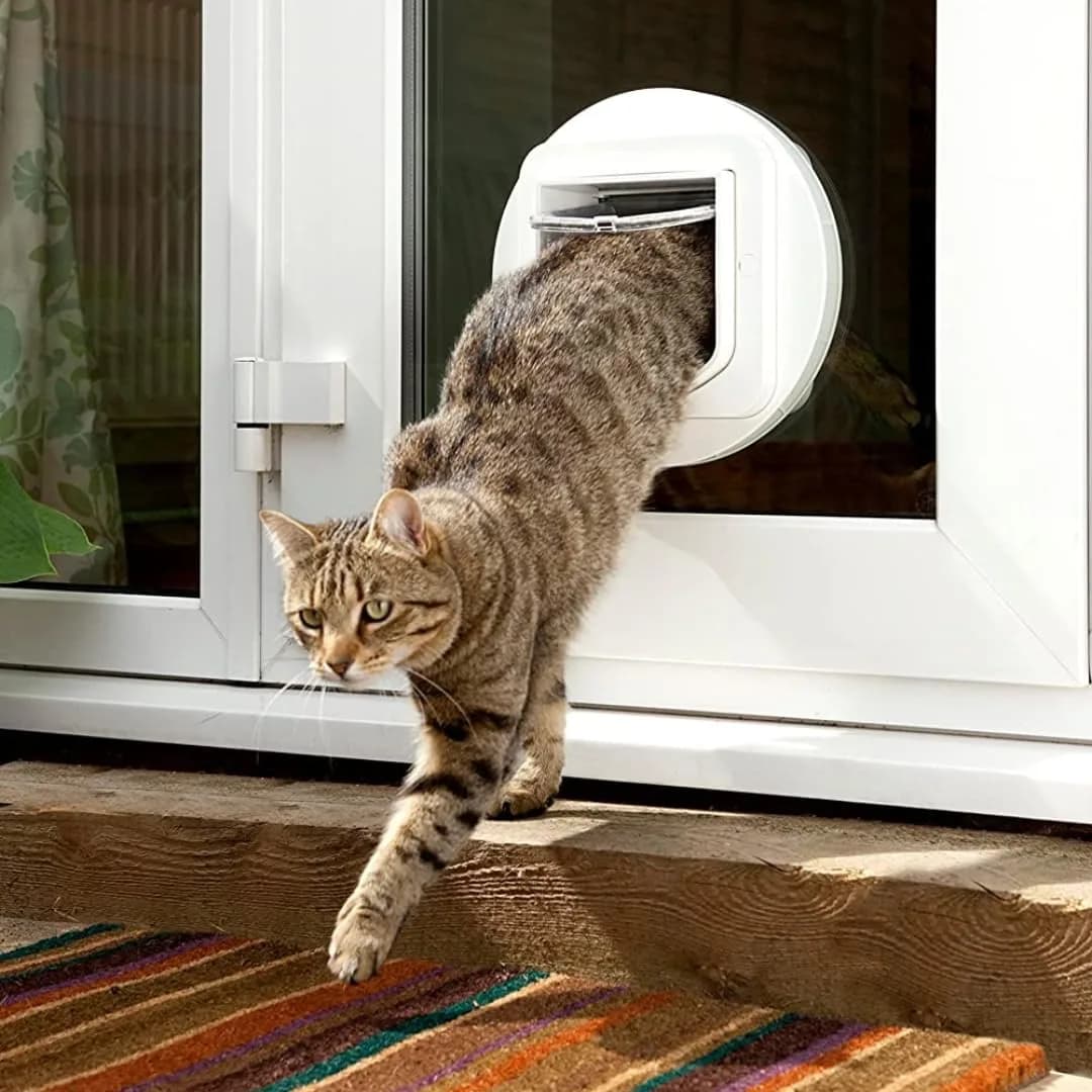 SureFlap Microchip Cat Flap White | Scans Pet's ID on Entry, 12.5cm (4 7/8") H x 14.3cm (5 5/8") W - view 2