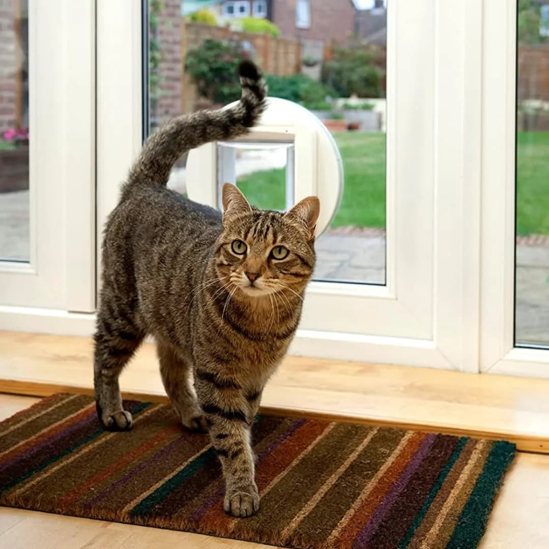 SureFlap Microchip Cat Flap White | Scans Pet's ID on Entry, 12.5cm (4 7/8") H x 14.3cm (5 5/8") W - view 3