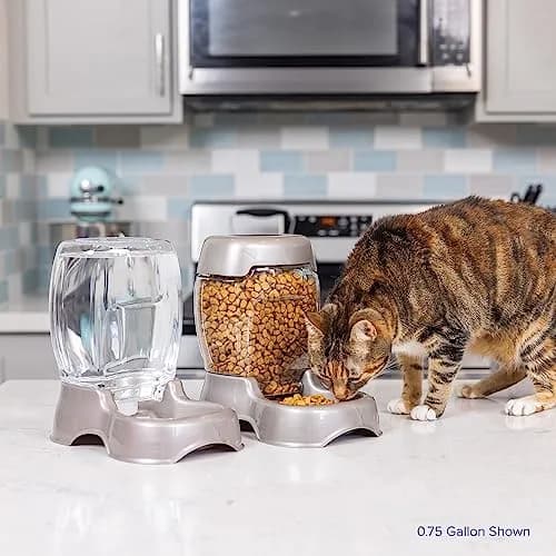 Petmate Pet Cafe Water Dispenser XS 0.95L (0.25 GAL) Pearl Ash Blue | Gravity-Fed Waterer for Cats & Dogs thumbnail 6