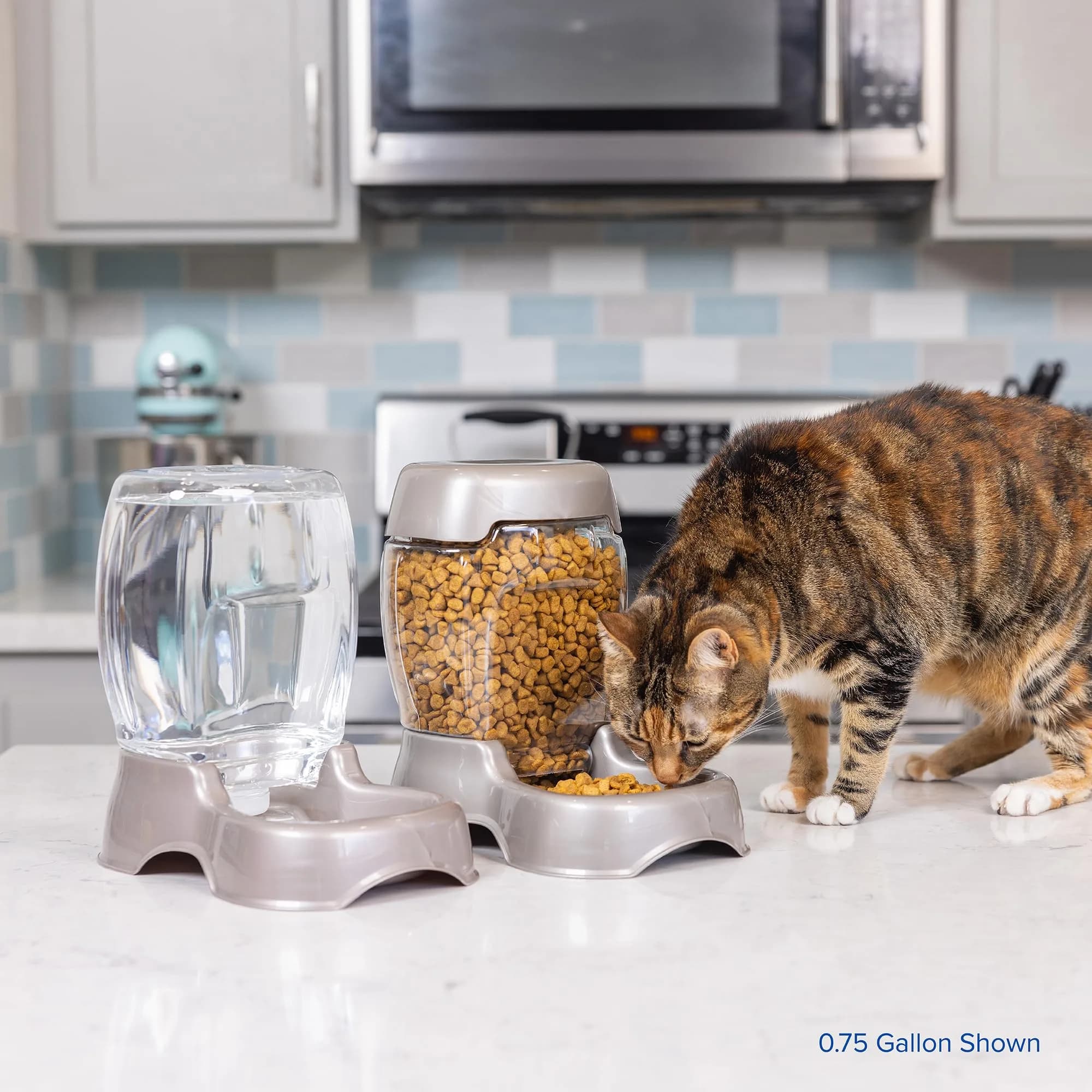 Petmate Pet Cafe Water Dispenser XS 0.95L (0.25 GAL) Pearl Ash Blue | Gravity-Fed Waterer for Cats & Dogs - view 6