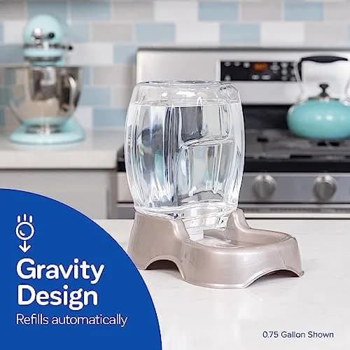 Petmate Pet Cafe Water Dispenser XS 0.95L (0.25 GAL) Pearl Ash Blue | Gravity-Fed Waterer for Cats & Dogs thumbnail 2