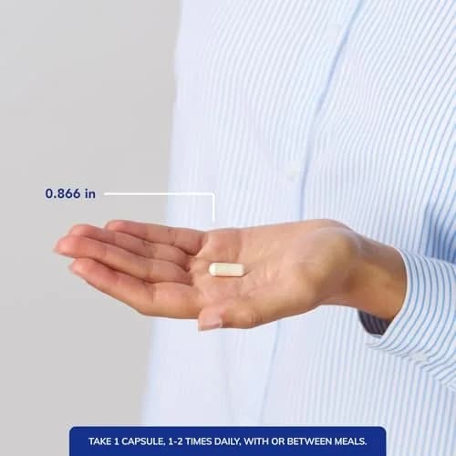 Pure Encapsulations Probiotic G.I. 60 Capsules | Supports Healthy Immune Balance in the G.I. Tract thumbnail 4