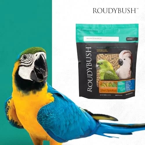 RoudyBush Senior Diet Bird Food, Medium Pellets 44 oz | Supports Mature Birds' Nutrition thumbnail 8