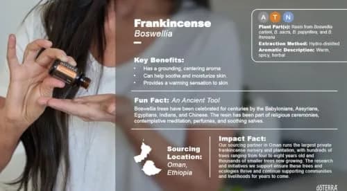 doTERRA Frankincense Essential Oil 15 ml | Cellular & Immune Support, US Sourced thumbnail 3