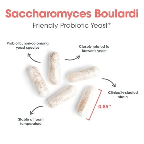 Allergy Research Group ARG Essential-Biotic Saccharomyces Boulardii 60 Capsules | Gut & Immune Support with 9 Billion CFU thumbnail 4