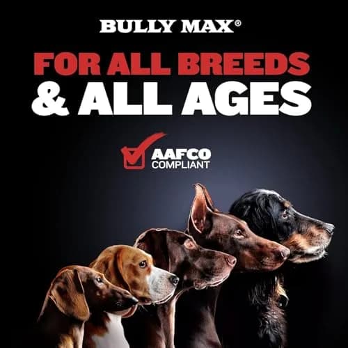 Bully Max 2-in-1 Muscle Builder Chewable Tablets for Puppies & Adult Dogs - 60 Tabs | Supports Muscle Gain & Growth thumbnail 4