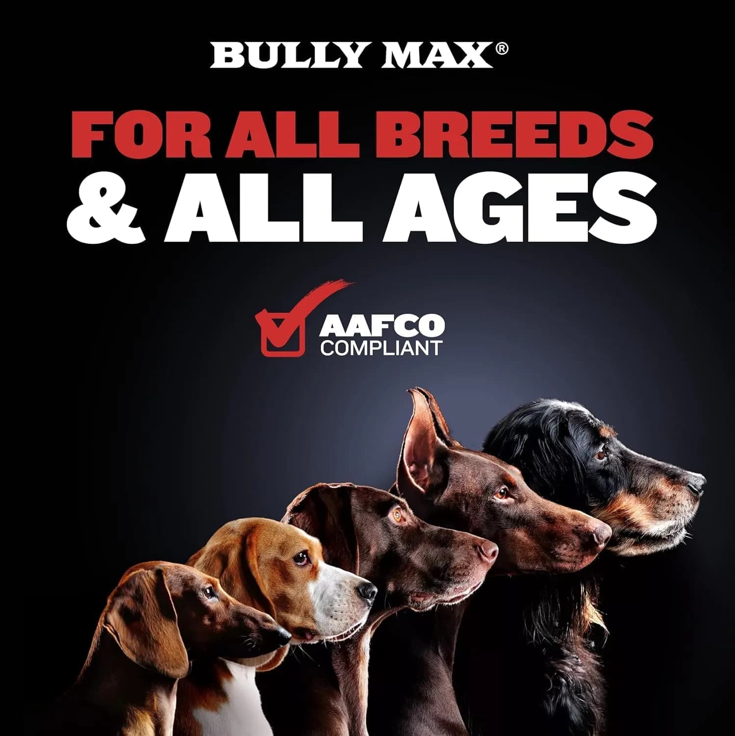 Bully Max 2-in-1 Muscle Builder Chewable Tablets for Puppies & Adult Dogs - 60 Tabs | Supports Muscle Gain & Growth - view 4