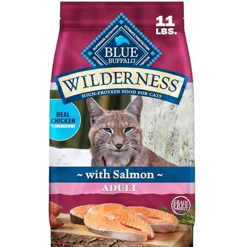 Blue Buffalo Wilderness Salmon Adult Dry Cat Food, Grain-Free, 11 lb | High-Protein Salmon Recipe for Adult Cats thumbnail 1