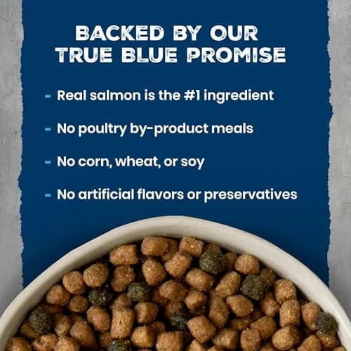 Blue Buffalo Wilderness Salmon Adult Dry Cat Food, Grain-Free, 11 lb | High-Protein Salmon Recipe for Adult Cats thumbnail 4
