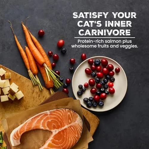 Blue Buffalo Wilderness Salmon Adult Dry Cat Food, Grain-Free, 11 lb | High-Protein Salmon Recipe for Adult Cats thumbnail 6