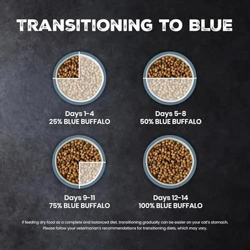Blue Buffalo Wilderness Salmon Adult Dry Cat Food, Grain-Free, 11 lb | High-Protein Salmon Recipe for Adult Cats thumbnail 7