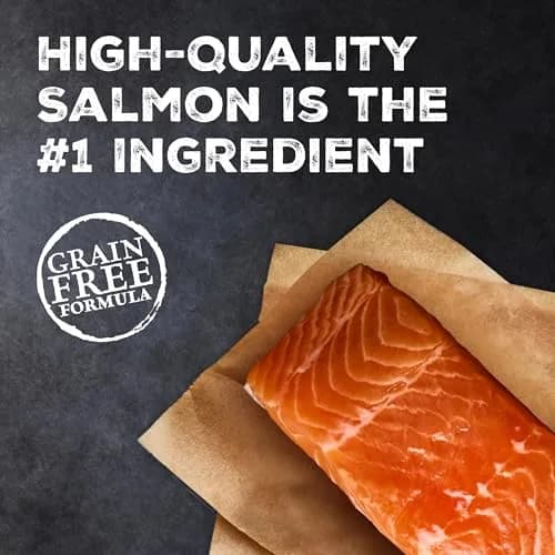 Blue Buffalo Wilderness Salmon Adult Dry Cat Food, Grain-Free, 11 lb | High-Protein Salmon Recipe for Adult Cats thumbnail 2
