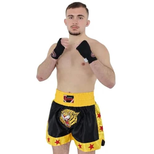 Farabi Sports Muay Thai Shorts Men Women Cage Fighting MMA Kickboxing Training (Large, Black/Gold, US) thumbnail 2