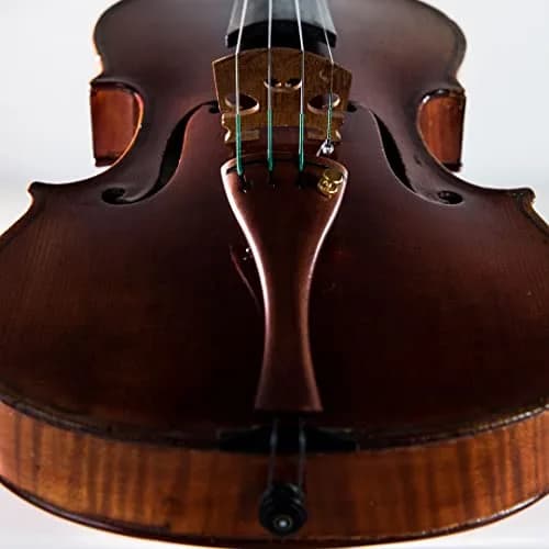 Thomastik-Infeld Vision Solo Violin Strings 4/4 Full Set | Warm, Full-Bodied Tone for Professional Violinists thumbnail 3