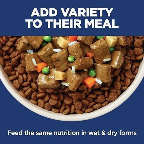 Hill's Science Diet Sensitive Stomach & Skin Dry Dog Food Chicken Recipe 13.6 kg (30 lb) | Veterinarian Recommended thumbnail 8