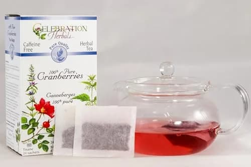 Celebration HERBALS Cranberries Pure Quality 24, Count | Tart, refreshing herbal tea with antioxidant support in India thumbnail 3