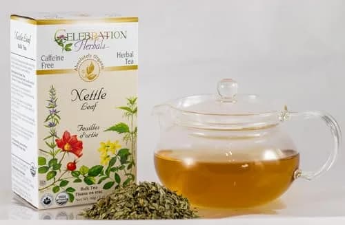 Celebration Herbals Nettle Leaf Organic 40 gm | 100% Organic, Ethically Wildcrafted, Pure Quality thumbnail 3