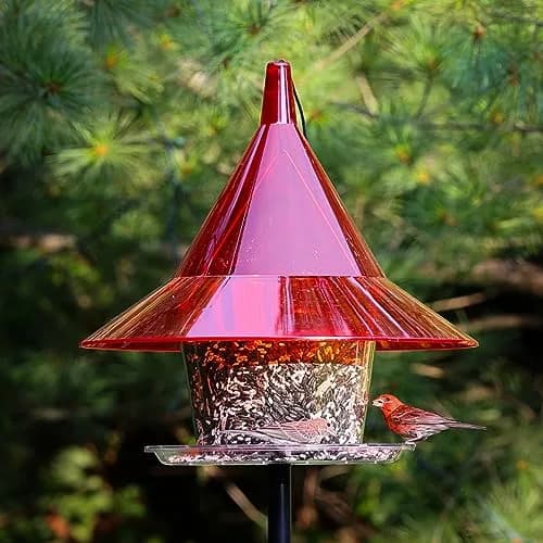 Sky Cafe Squirrel Proof Bird Feeder for Outside - Very Large, 17 in. Diameter, 1.5 Gallon Birdseed Capacity | Made in USA thumbnail 2