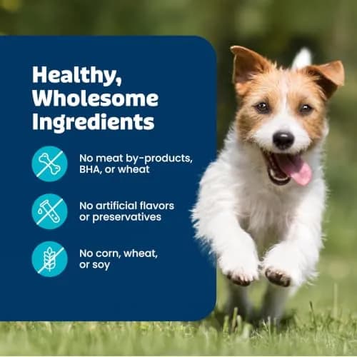 Blue Buffalo Health Bars Bacon Egg & Cheese Dog Biscuits 454g (16 oz) | Oven-Baked Crunchy Treats for All Breeds thumbnail 8