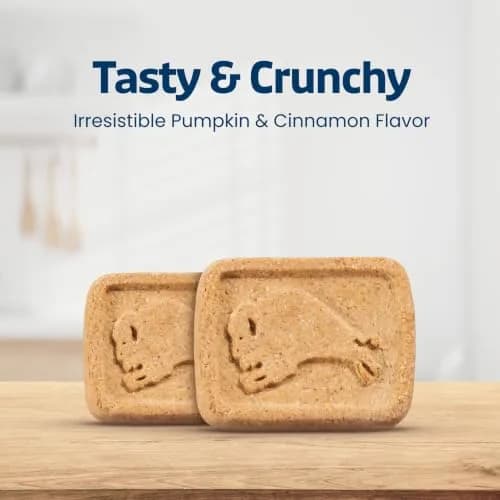Blue Buffalo Health Bars Pumpkin & Cinnamon Dog Biscuits 454g (16 oz) | Oven-Baked Natural Dog Treats thumbnail 7
