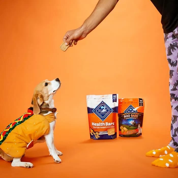 Blue Buffalo Health Bars Pumpkin & Cinnamon Dog Biscuits 454g (16 oz) | Oven-Baked Natural Dog Treats thumbnail 2