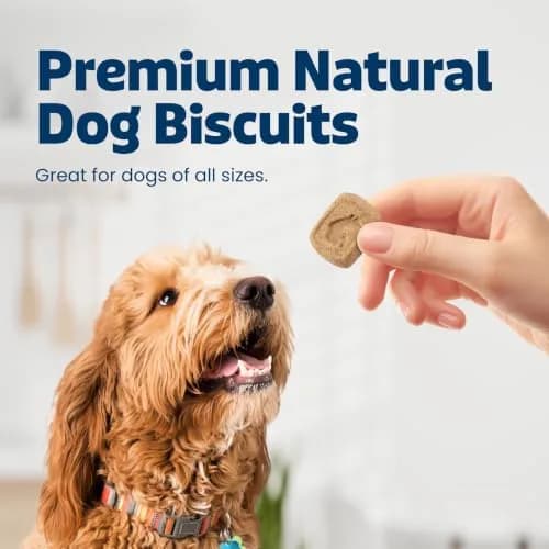 Blue Buffalo Health Bars Bananas & Yogurt Dog Biscuits 454g (16 oz) | Oven-Baked Crunchy Treats for All Breed Sizes thumbnail 2