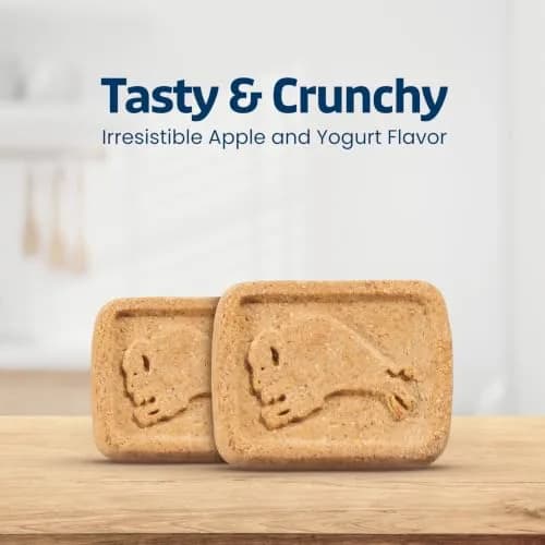 Blue Buffalo Health Bars Apples & Yogurt Dog Biscuits 454g (16 oz) | Oven-Baked Natural Dog Treats thumbnail 6