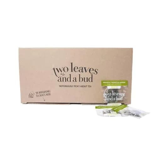 Two Leaves and a Bud Organic Tropical Green Tea, 100 Count | Refreshing Full Leaf Sencha in Pyramid Sachets thumbnail 1