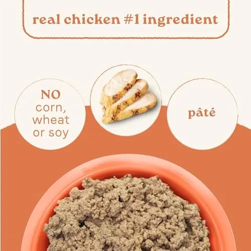 CANIDAE All Life Stages Wet Dog Food, Chicken & Rice, 13 oz, 12 Pack | Complete Nutrition for All Dogs thumbnail 2