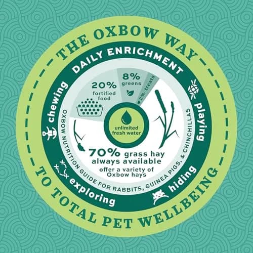 Oxbow Essentials Adult Rabbit Food with Timothy Hay Pellets 2.27 kg (5 lb) | Complete Nutrition for Adult Rabbits thumbnail 7