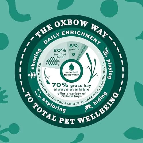 Oxbow Essentials Young Rabbit Food Pellets with Alfalfa Hay, 2.27 kg (5 lb) | High Fiber, Vet-Recommended Nutrition for Growing Rabbits thumbnail 6