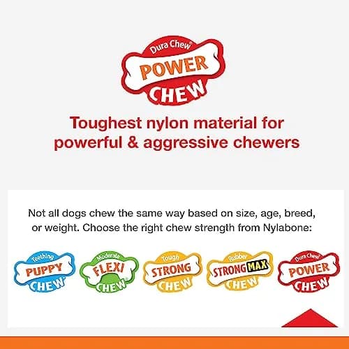 Nylabone Textured Ring Power Chew Toy for X-Large Dogs 50+ lbs | Durable Nylon Chew Toy for Aggressive Chewers thumbnail 4