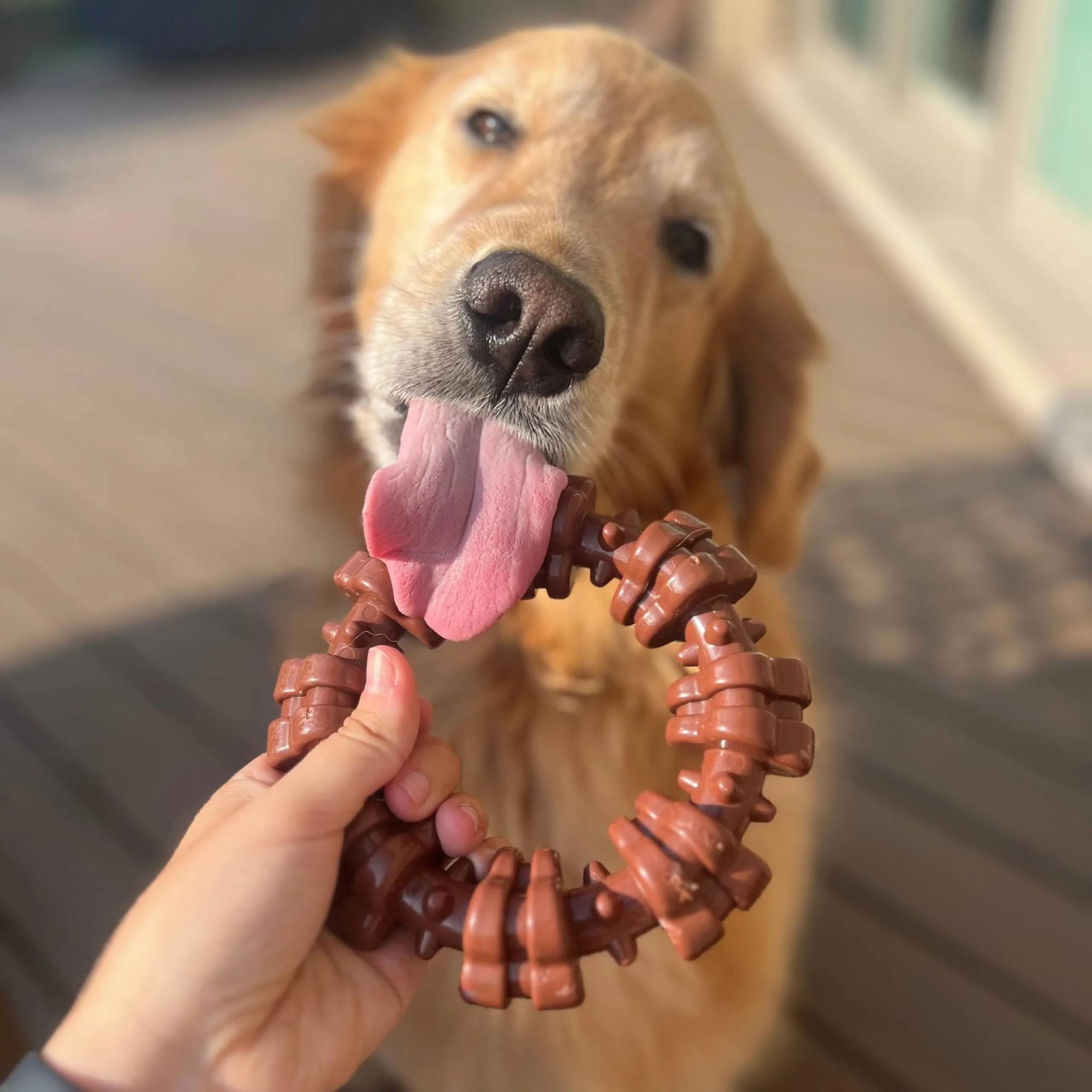 Nylabone Textured Ring Power Chew Toy for X-Large Dogs 50+ lbs | Durable Nylon Chew Toy for Aggressive Chewers - view 7