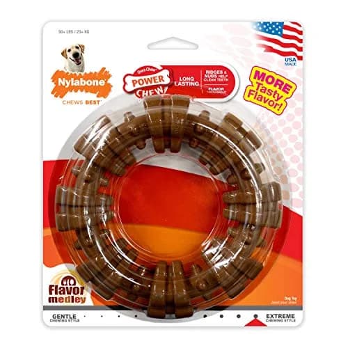 Nylabone Textured Ring Power Chew Toy for X-Large Dogs 50+ lbs | Durable Nylon Chew Toy for Aggressive Chewers thumbnail 8