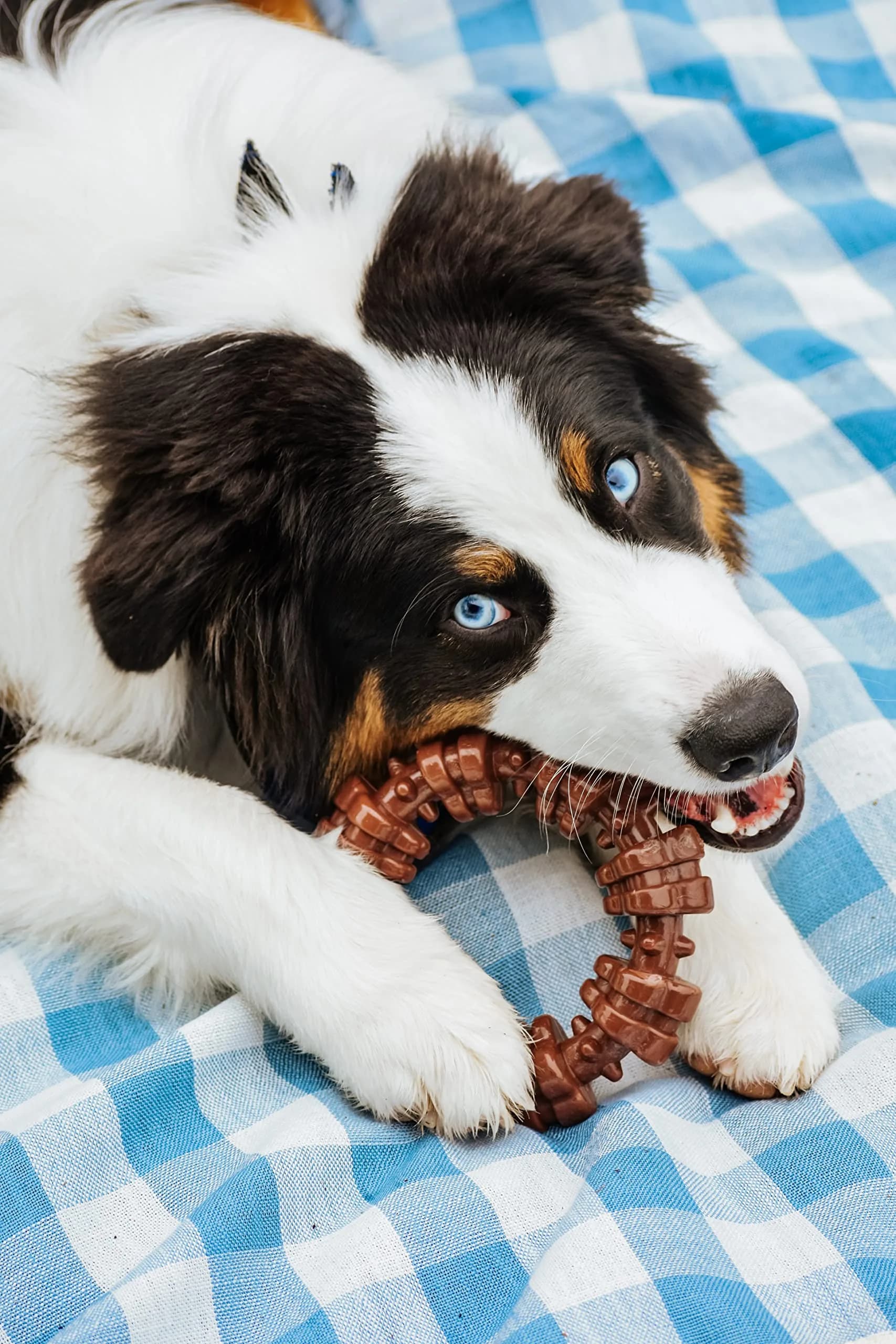 Nylabone Textured Ring Power Chew Toy for X-Large Dogs 50+ lbs | Durable Nylon Chew Toy for Aggressive Chewers - view 2