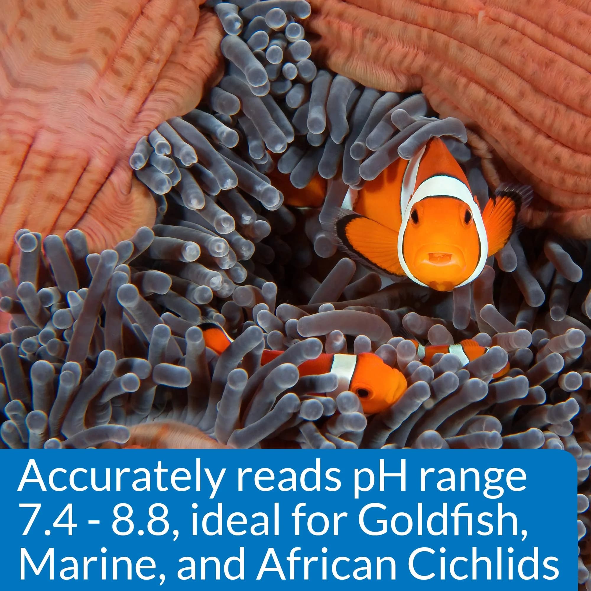 API High Range pH Test Kit 7.4-8.8 | 160 Tests for Freshwater & Saltwater Aquariums - view 5