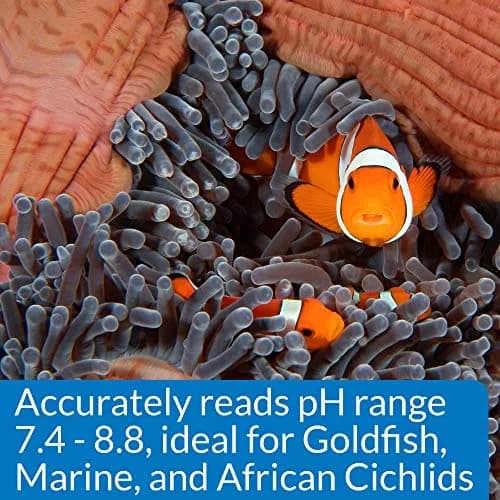API High Range pH Test Kit 7.4-8.8 | 160 Tests for Freshwater & Saltwater Aquariums thumbnail 5