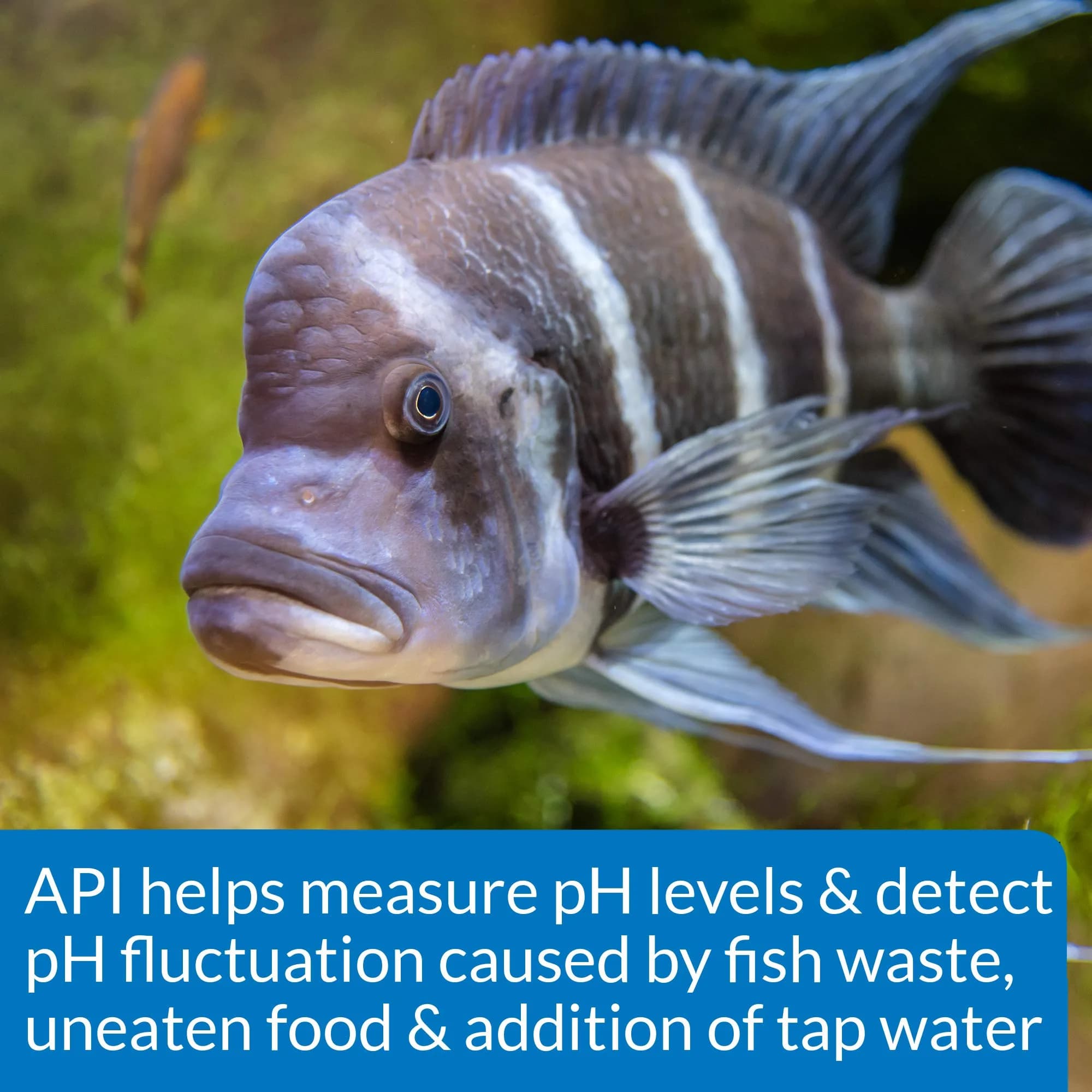 API High Range pH Test Kit 7.4-8.8 | 160 Tests for Freshwater & Saltwater Aquariums - view 6