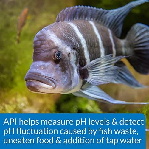 API High Range pH Test Kit 7.4-8.8 | 160 Tests for Freshwater & Saltwater Aquariums thumbnail 6